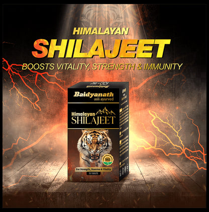 Baidyanath Himalayan Shilajeet Tablet | For Strength & Stamina