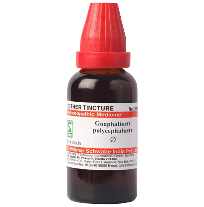 Dr Willmar Schwabe Germany Gnaphalium Polycephalum Mother Tincture Q - Classic Derma