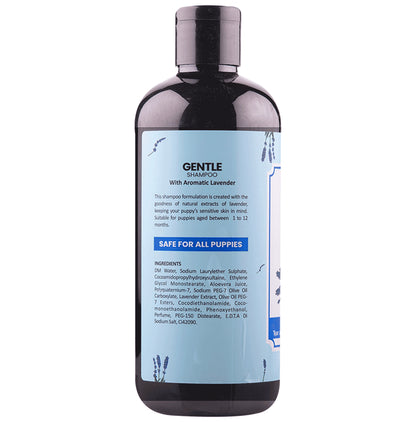 Bakson's Homeopathy Gentle Shampoo