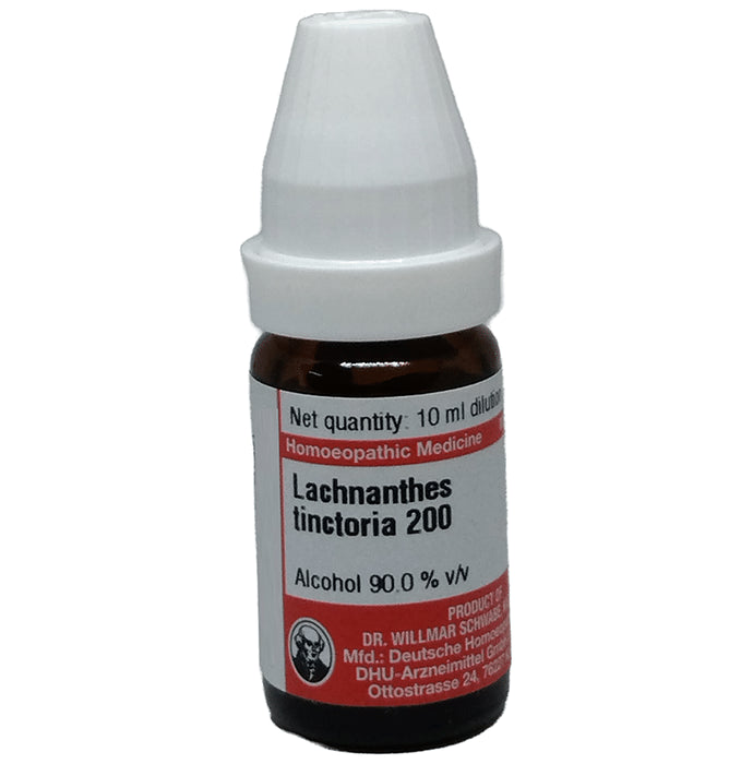 Dr Willmar Schwabe Germany Lacnanthes Tinctoria Dilution 200 - Classic Derma