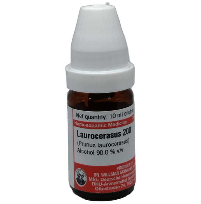 Dr Willmar Schwabe Germany Laurocerasus (Prunus Laurocerasus) Dilution 200 - Classic Derma