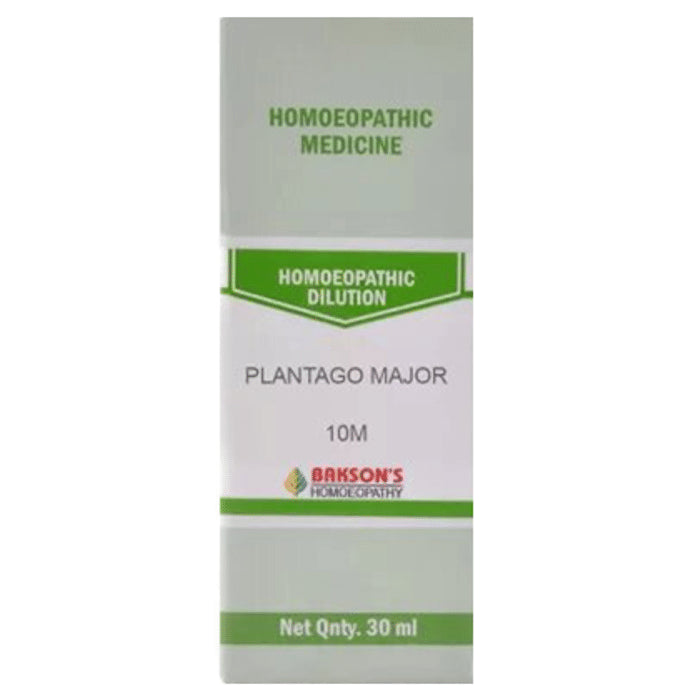 Bakson's Homeopathy Plantago Major Dilution 10M - Classic Derma