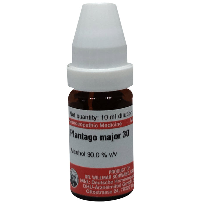 Dr Willmar Schwabe Germany Plantago Major Dilution 30 - Classic Derma