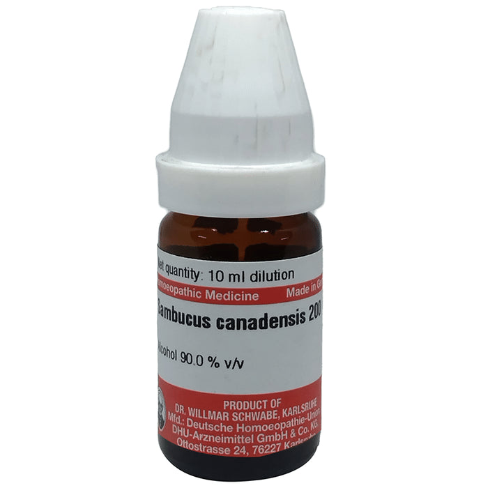 Dr Willmar Schwabe Germany Sambucus Canadensis Dilution 200 - Classic Derma