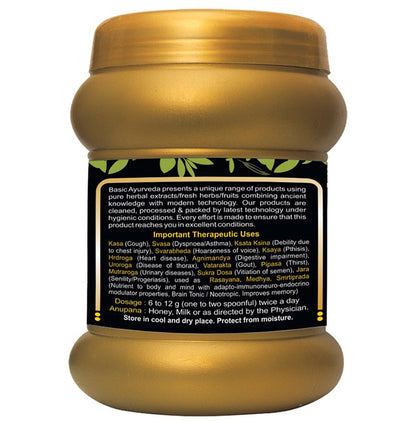Basic Ayurveda Double Immunity Chyawanprash Special