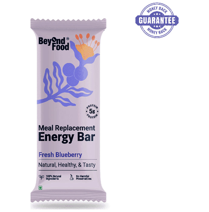 Beyond Food Meal Replacement Energy Bar Fresh Blueberry