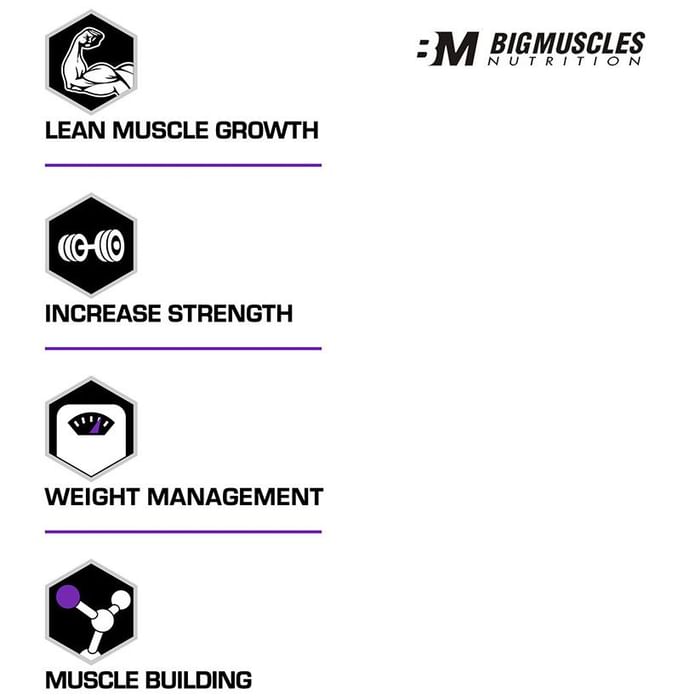 Big Muscles Quick Mass Chocolate Malt
