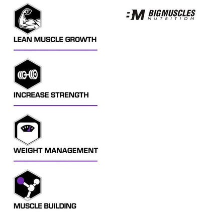 Big Muscles Quick Mass Chocolate Malt