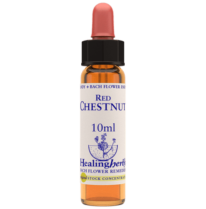 Healing Herbs Bach Flower Red Chestnut - Classic Derma
