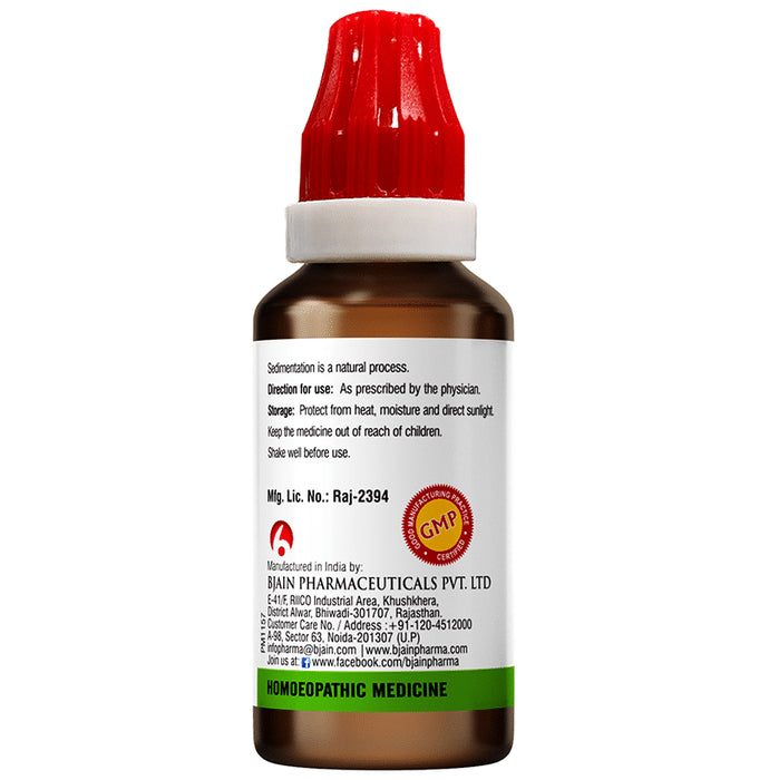 Bjain Spigelia Anthelmia Mother Tincture Q
