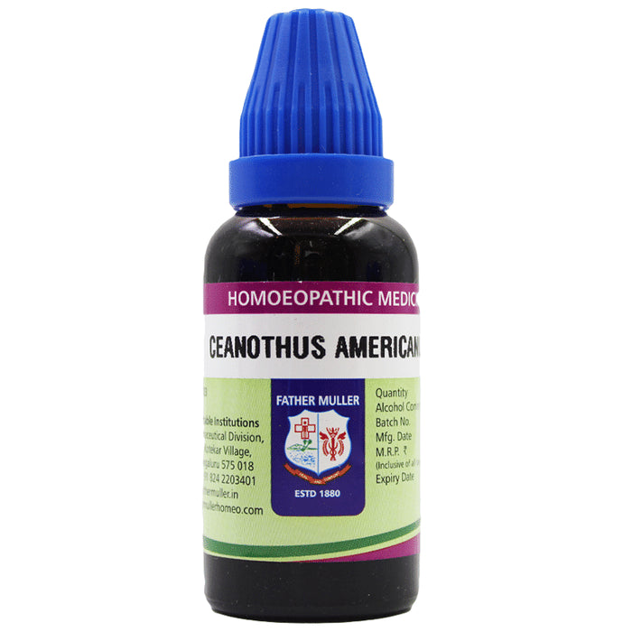 Father Muller Ceanothus Americanus Drop Q - Classic Derma