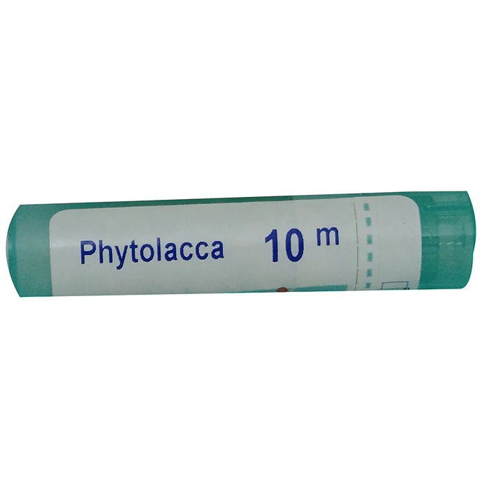 Boiron Phytolacca Pellets 10M - Classic Derma