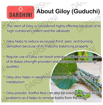 Darshini Giloy/Guduchi/Gulvel Stem/Tinospora Cordifola Powder