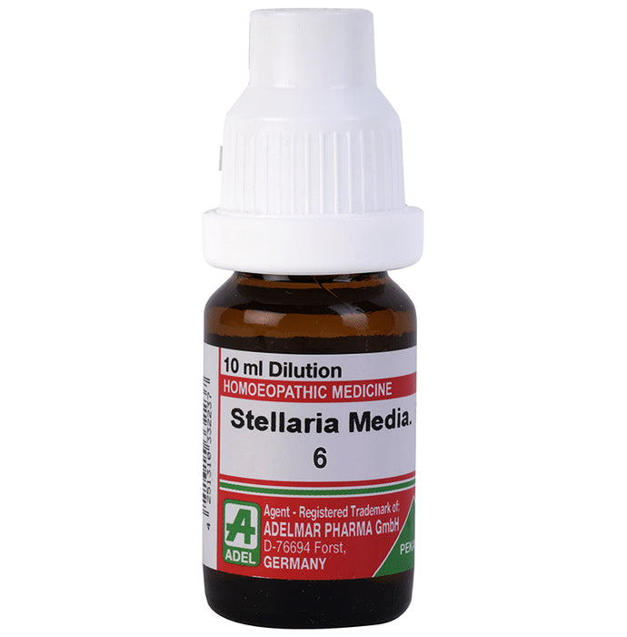 ADEL Stellaria Media. Dilution 6 - Classic Derma