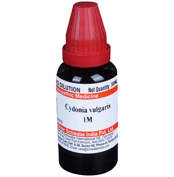 Dr Willmar Schwabe India Cydonia Vulgaris Dilution 1M - Classic Derma