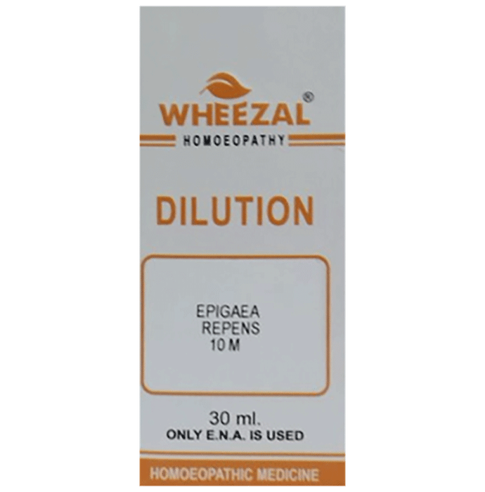 Wheezal Epigaea repnes Dilution 10M - Classic Derma