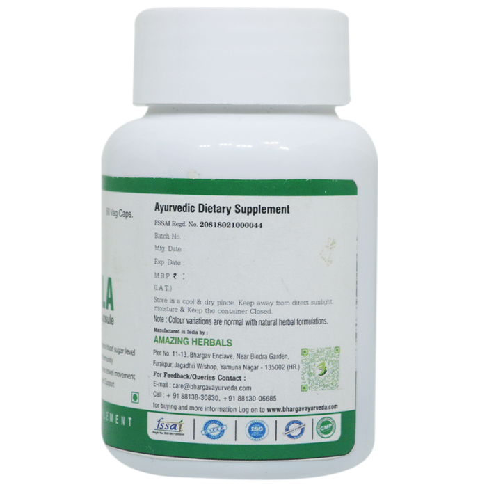 Dr.Bhargav’s Karela Veg Capsule (100 Each)