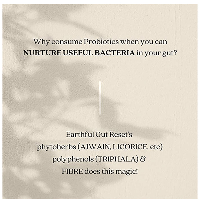 Earthful Gut Reset Acidity + Constipation
