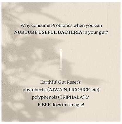Earthful Gut Reset Acidity + Constipation
