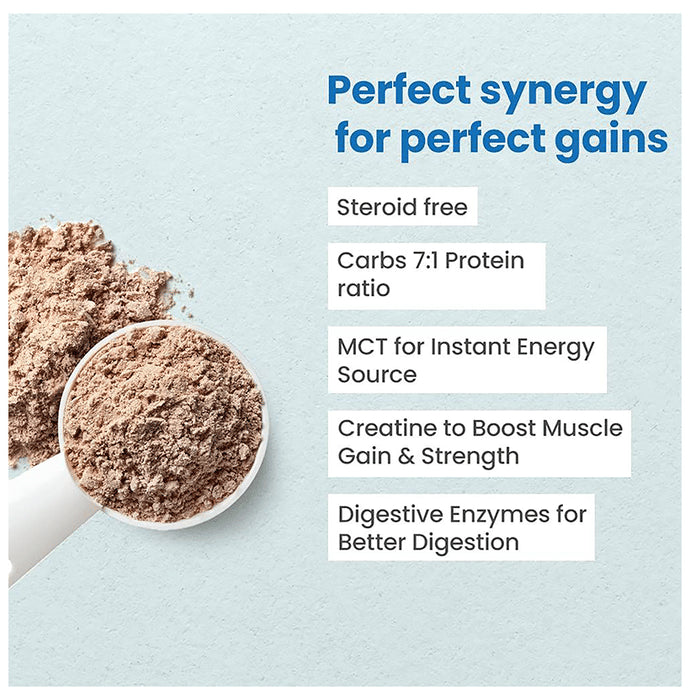 Exerfit Mass Gainer Titanium Series Powder Kesar Pista