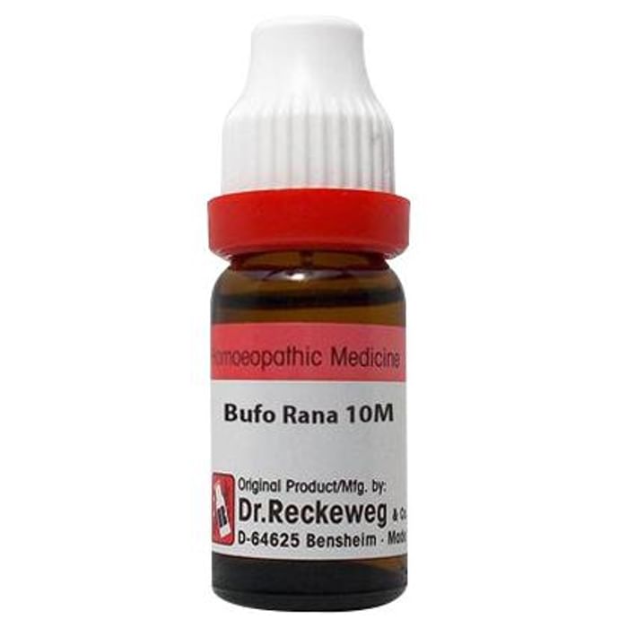Dr. Reckeweg Bufo Rana Dilution 10M CH - Classic Derma
