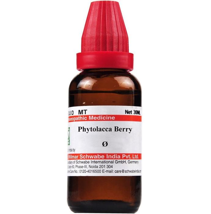 Dr Willmar Schwabe India Phytolacca Berry Mother Tincture Q - Classic Derma