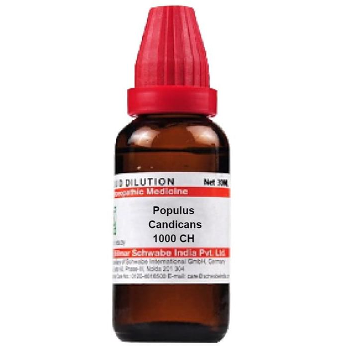 Dr Willmar Schwabe India Populus Candicans Dilution 1000 CH - Classic Derma