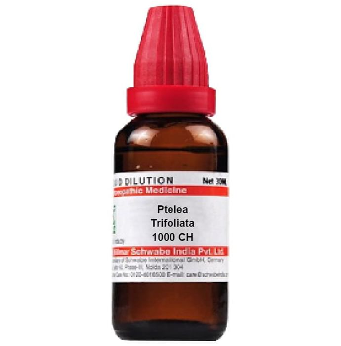 Dr Willmar Schwabe India Ptelea Trifoliata Dilution 1000 CH - Classic Derma