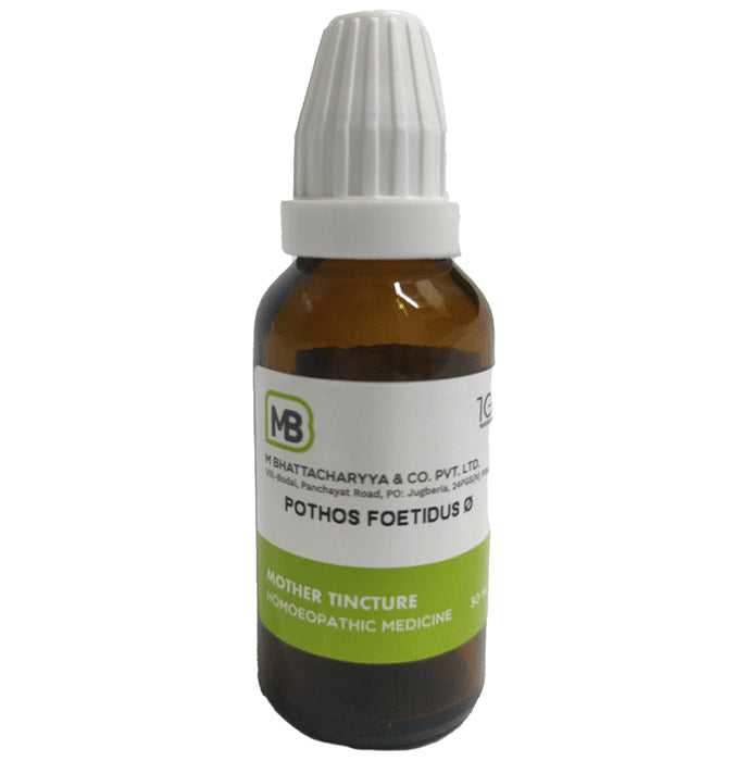 M Bhattacharyya & Co Pvt Ltd Pothos Foetidus Mother Tincture Q - Classic Derma