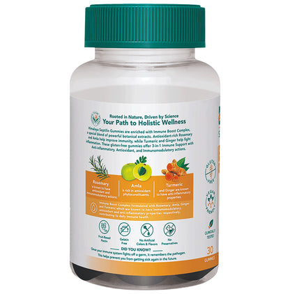 Himalaya Septilin Gummies Gummy Rosemary