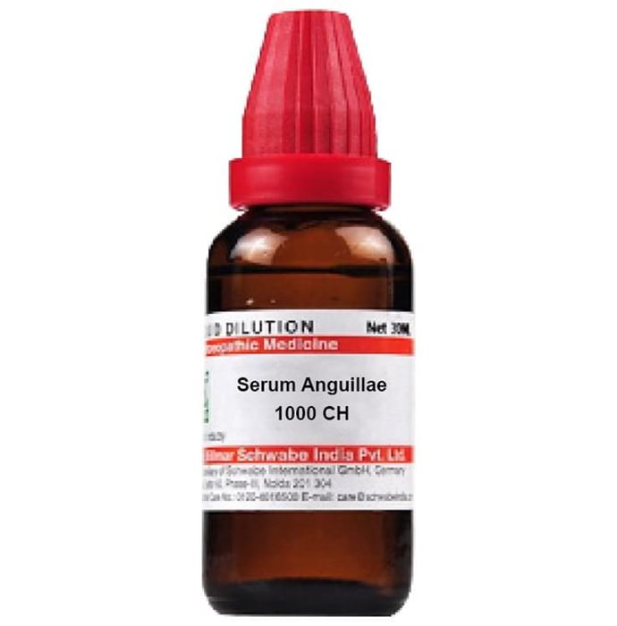 Dr Willmar Schwabe India Serum Anguillae Dilution 1000 CH - Classic Derma