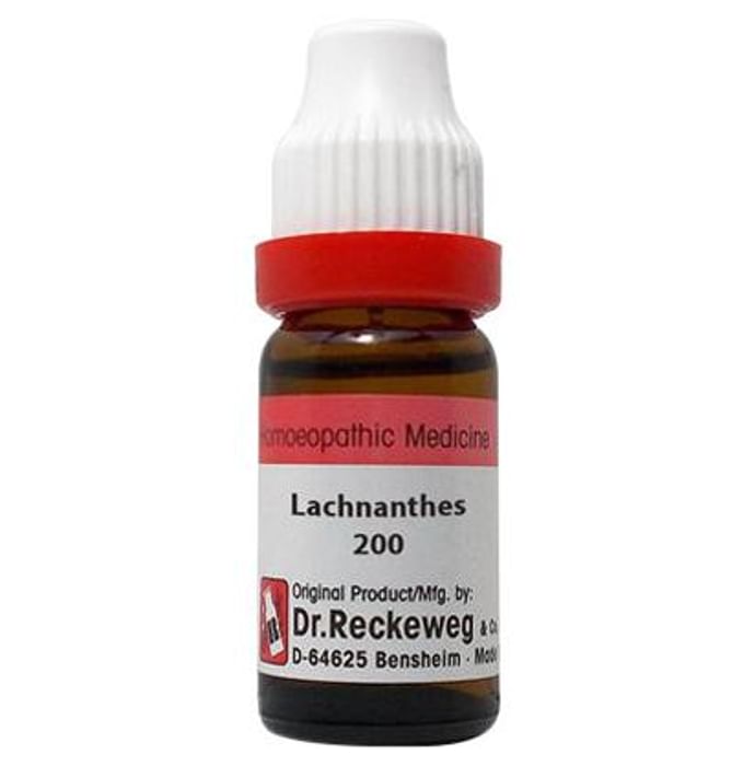 Dr. Reckeweg Lachnanthes Dilution 200 CH - Classic Derma