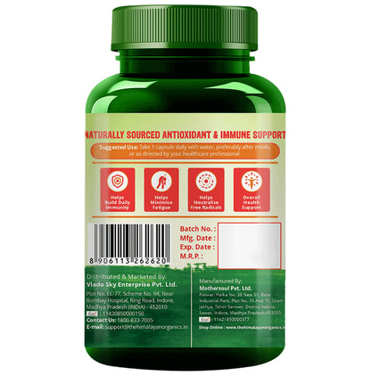 Himalayan Organics Plant Based Zinc Vitamin C Vegetarian Capsule