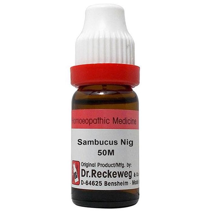 Dr. Reckeweg Sambucus Nig Dilution 50M CH - Classic Derma