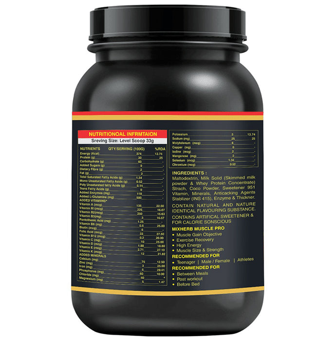 N2B Insta Muscle Mass Gainer XXXL Premium Powder Chocolate