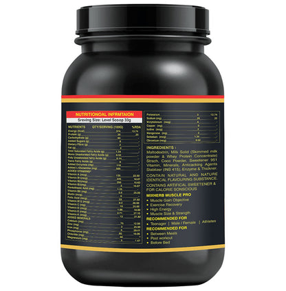 N2B Insta Muscle Mass Gainer XXXL Premium Powder Chocolate