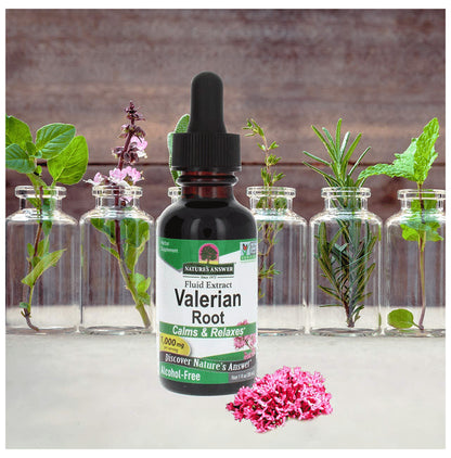 Nature's Answer Valerian Root Fluid Extract 1000mg Alcohol Free