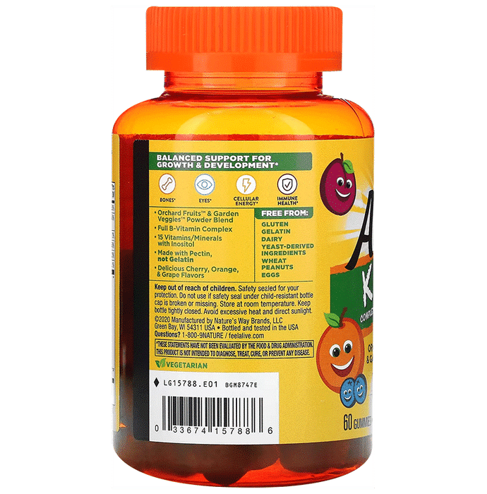 Nature's Way Alive Men's Multivitamin Gummies