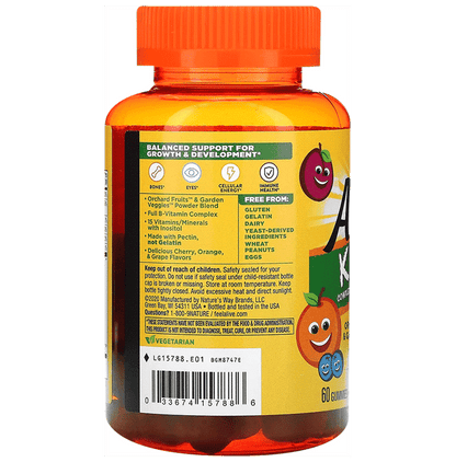 Nature's Way Alive Men's Multivitamin Gummies