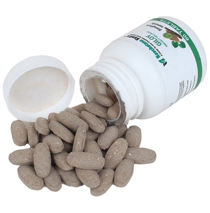Navchetana Kendra Giloy Immunity Booster Tablet