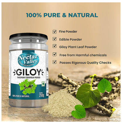 Nectar Valley Giloy Tinospora Cordifolia Powder