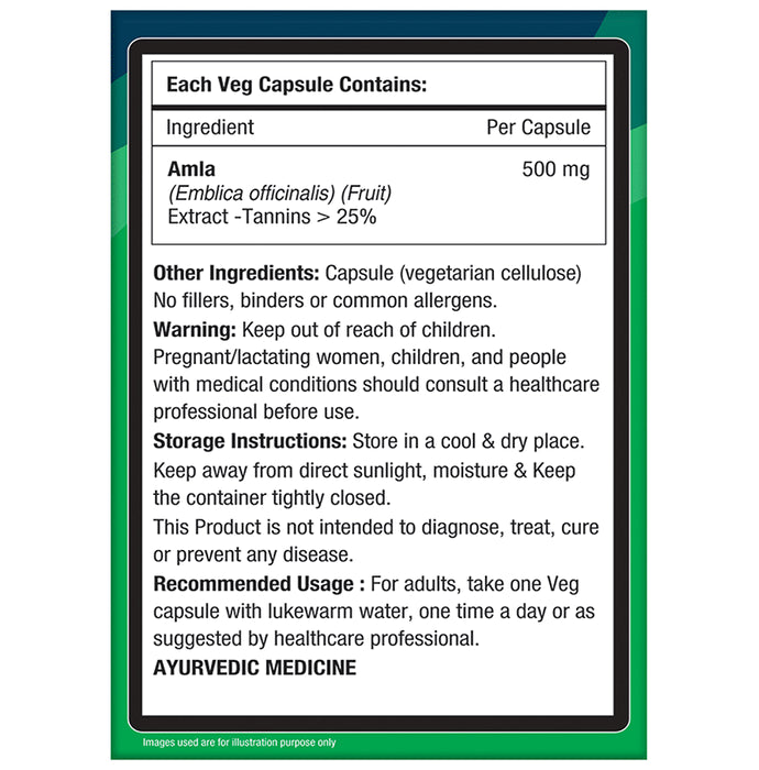 NourishVitals Amla Vitamin C 500mg Veg Capsule (60 Each)