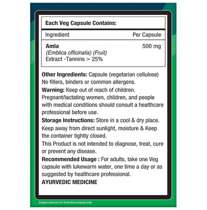 NourishVitals Amla Vitamin C 500mg Veg Capsule (60 Each)