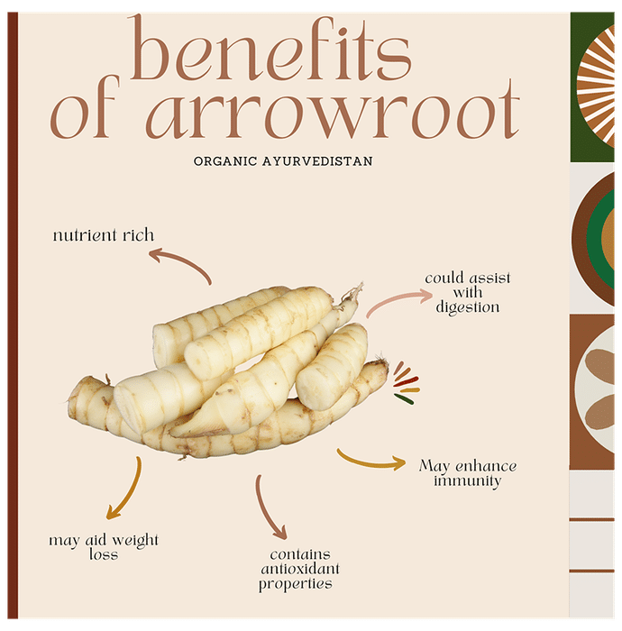Organic Ayurvedistan Arrow Root Powder