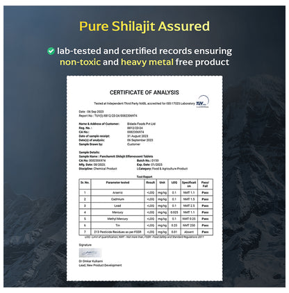 Panchamrit Himalayan Shilajit Effervescent Tablet with Ayurvedic Herbs|Boosts Stamina (15 Each)