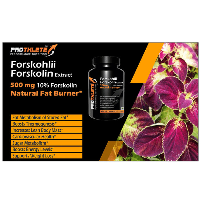 Prothlete Forskohlii Forskolin Extract 500mg Veg Capsule