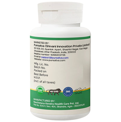 Punsatva Medhavridhi Capsule (60 Each)
