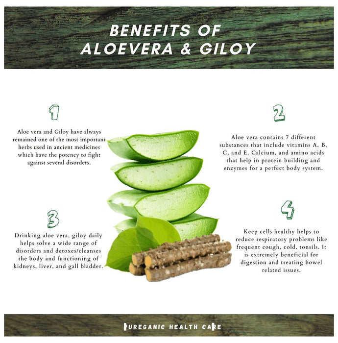 Pureganics Aloevera Giloy Juice