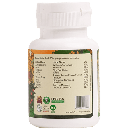 Qaadu Extract Based 360 Boost 500mg Capsule