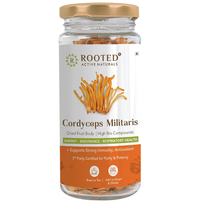 Rooted Active Naturals Cordyceps Militaris Dried Fruit Body - Classic Derma